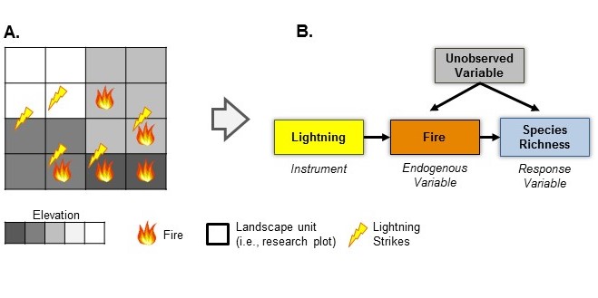 figure4